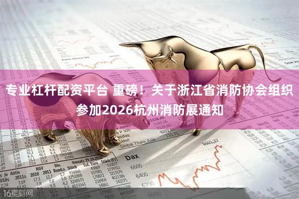 专业杠杆配资平台 重磅！关于浙江省消防协会组织参加2026杭州消防展通知